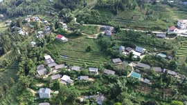 Giai đoạn 2021 - 2025, Lào Cai triển khai 287 dự án hỗ trợ sinh kế