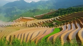 Từ ruộng bậc thang đến giấc mơ du lịch xanh
