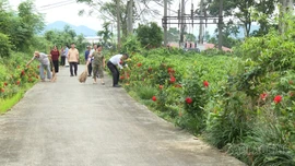 Tiên Phong - điểm sáng thực hiện tiêu chí môi trường 