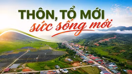 Thôn, tổ mới - Sức sống mới 