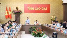 Chủ tịch UBND tỉnh Nguyễn Tuấn Anh chủ trì phiên họp của Ban Chỉ đạo về hoàn thiện thể chế, pháp luật tỉnh 