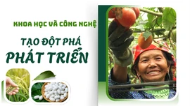 Khoa học và công nghệ tạo đột phá phát triển