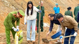 Sôi nổi phong trào trồng cây, trồng hoa ở Đông Cuông