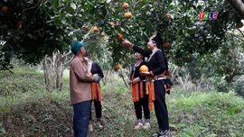 Trái ngọt từ Chương trình 1719