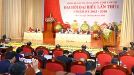 Khai mạc phiên chính thức Đại hội đại biểu Đảng bộ Các cơ quan Đảng tỉnh