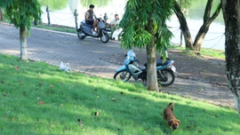 Cần sự vào cuộc của cả cộng đồng