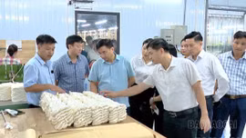 “Đòn bẩy” khát vọng phát triển của nông dân Lào Cai