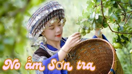 No ấm sơn tra