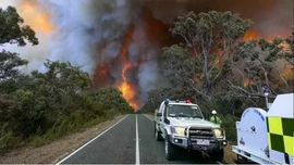 Thảm họa cháy rừng ở Australia: 74.000 ha rừng bị thiêu rụi