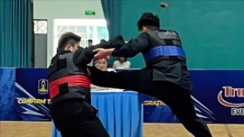 Thanh Hóa đứng đầu tại Giải vô địch Pencak Silat Quốc gia 2024