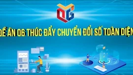 Quyết liệt hoàn thành các nhiệm vụ chuyển đổi số quốc gia - Đề án 06