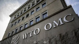 WTO: Tác động kép của AI đối với thương mại toàn cầu