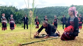 Phát huy giá trị các di sản văn hóa phi vật thể quốc gia mới của tỉnh