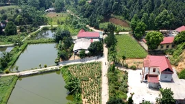 Hiệu quả từ mở rộng đường giao thông nông thôn ở Bảo Thắng