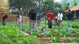"Nông trại vui vẻ" trong trường học