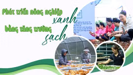 Phát triển nông nghiệp xanh bằng tăng trưởng sạch