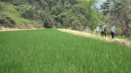 Khát vọng Khe Lóng 2