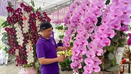 Sôi động thị trường hoa Tết