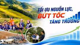 Tối ưu nguồn lực, bứt tốc tăng trưởng