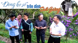 "Dòng họ số" trên đỉnh Suối Giàng