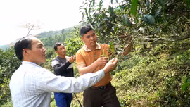 Khi người trẻ dẫn lối, mở đường