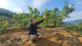 Tri ân bằng hành động thiết thực