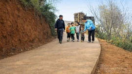 Con đường thoát nghèo ở Tà Xi Láng