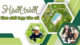 Hành trình làm chủ hợp tác xã