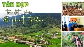 Tân Hợp tạo đột phá để phát triển