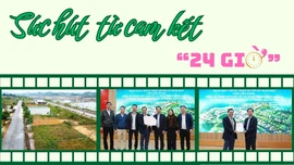 Sức hút từ cam kết "24 giờ"