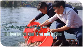 Bảo vệ nguồn lợi thủy sản hài hòa lợi ích kinh tế và môi trường