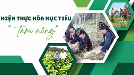 Hiện thực hóa mục tiêu "Tam nông"
