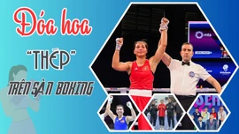 Đóa hoa “thép” trên sàn boxing