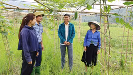 Khánh Yên chuyển mình trong tư duy phát triển nông nghiệp
