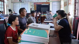 Chủ tịch UBND các tỉnh, thành phố chịu trách nhiệm trước Trung ương, Chính phủ và Thủ tướng Chính phủ về kết quả triển khai sắp xếp cơ sở giáo dục trên địa bàn