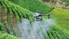 UAV - bệ phóng cho kỷ nguyên vươn mình và làm chủ bầu trời Việt