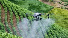 UAV - bệ phóng cho kỷ nguyên vươn mình và làm chủ bầu trời Việt