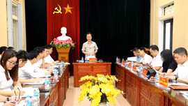 Phó Chủ tịch UBND tỉnh Nguyễn Thành Sinh: Chủ động tạo lập quỹ đất, nuôi dưỡng nguồn thu lâu dài