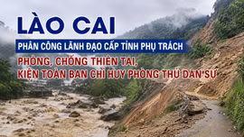 Lào Cai phân công lãnh đạo cấp tỉnh phụ trách phòng, chống thiên tai, kiện toàn Ban Chỉ huy Phòng thủ dân sự