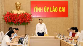 Lào Cai khẩn trương hoàn thiện hồ sơ đề nghị công nhận Trường Chính trị tỉnh đạt chuẩn mức 2