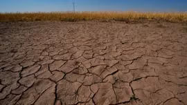 New Zealand xác nhận El Niño mạnh: Vì sao châu Á cần đặc biệt cảnh giác?