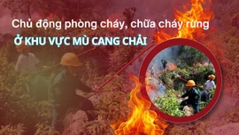 Chủ động phòng cháy, chữa cháy rừng ở khu vực Mù Cang Chải