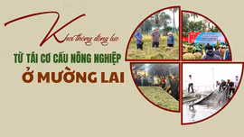 Khơi thông động lực từ tái cơ cấu nông nghiệp ở Mường Lai