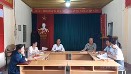 Trịnh Tường rà soát, xử lý 41 cơ sở nhà, đất dôi dư