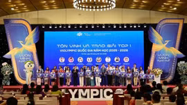 Lào Cai có nhiều thí sinh dự thi Violympic cấp quốc gia