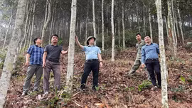 Bảo Ái phát huy “ba trụ cột” thúc đẩy kinh tế nông thôn