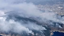 Nhật Bản sơ tán hơn 3.200 người do cháy rừng