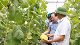 Xã Xuân Quang học tập kinh nghiệm chuyển đổi số, phát triển nông nghiệp công nghệ cao tại xã Thiệu Hóa