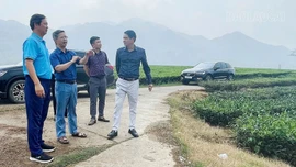 Khảo sát chuẩn bị Giải Đua xe đạp toàn quốc 2026 tại phường Nghĩa Lộ