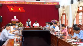 Ban Văn hóa - Xã hội HĐND tỉnh giám sát công tác quản lý thiết chế văn hóa tại Sở Văn hóa, Thể thao và Du lịch